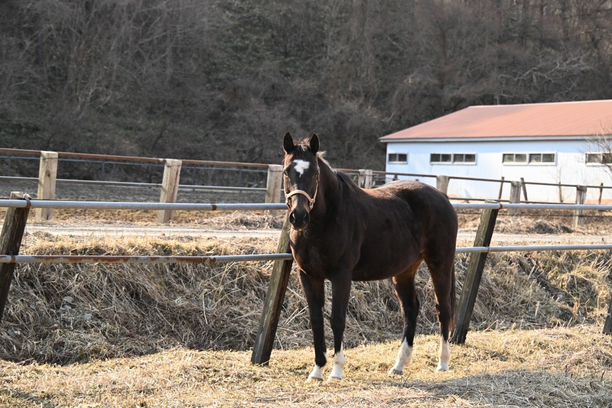 196256776f0aa656c6d3db969a9cdcea-1774149440.jpg 196256776f0aa656c6d3db969a9cdcea-1774149440.jpg